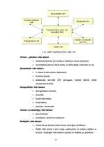 Prakses atskaite 'Atskaite saimniekošanas mācībā maizes ceptuvē', 6.