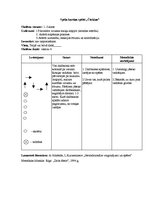 Konspekts 'Sporta stundas konspekts kustību rotaļās 1.klasei', 6.