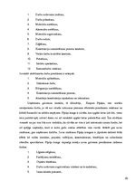 Referāts 'Ārējā komunikācija ražošanas uzņēmumā', 20.