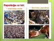 Prezentācija 'Populācija', 3.