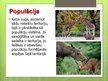 Prezentācija 'Populācija', 5.