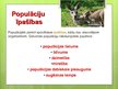 Prezentācija 'Populācija', 7.