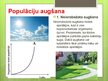 Prezentācija 'Populācija', 10.