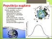 Prezentācija 'Populācija', 11.