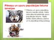 Prezentācija 'Populācija', 12.