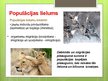 Prezentācija 'Populācija', 16.