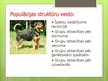 Prezentācija 'Populācija', 17.