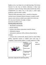 Referāts 'Individuālais komersants', 2.