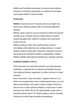 Referāts 'Individuālais komersants', 5.