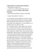 Referāts 'Individuālais komersants', 6.