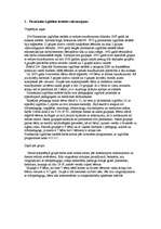 Prakses atskaite 'Prakse pirmsskolas izglītības iestādē bērniem ar redzes traucējumiem', 7.