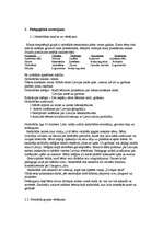 Prakses atskaite 'Prakse pirmsskolas izglītības iestādē bērniem ar redzes traucējumiem', 8.