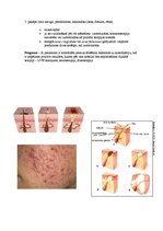 Konspekts 'Acne Vulgaris', 4.