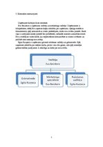 Biznesa plāns 'Biznesa plāns', 5.