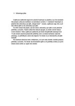 Biznesa plāns 'Biznesa plāns', 8.