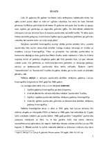 Referāts 'Jaunlatviešu darbības vērtējums padomju historiogrāfijā 1945.-1960.gadā', 3.