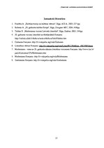 Referāts 'Pasaules aina modernisma un postmodernisma literatūrā', 27.