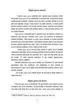 Referāts '"Ziepju operas". Ziepju operu vēsture un žanrs. Ziepju operas un sievietes', 3.