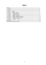 Referāts 'Līderis', 2.