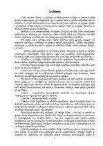 Referāts 'Līderis', 5.