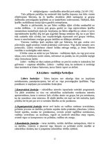 Referāts 'Līderis', 11.