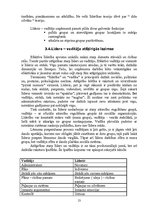 Referāts 'Līderis', 13.