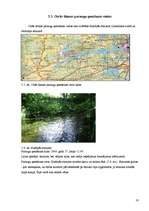 Referāts 'Ūdens sastāva izmaiņas ceļā no saldūdens uz sāļūdeni', 16.