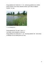 Referāts 'Ūdens sastāva izmaiņas ceļā no saldūdens uz sāļūdeni', 19.