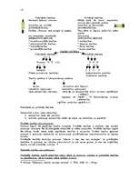 Konspekts 'Tiesību teorija', 14.