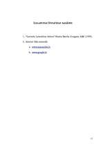 Referāts 'Māra Zālīte un viņas librets rok-operai "Lāčplēsis”', 11.