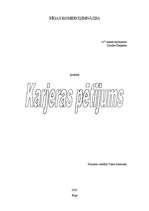 Referāts 'Karjeras pētījums', 1.