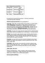 Konspekts 'Personības pieejas un tepmeramenta tipi', 4.