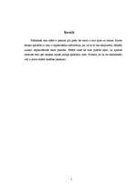 Referāts 'Nitrocelulozes laku negatīvā ietekme', 2.