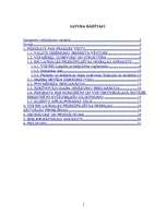 Prakses atskaite 'Prakse Valsts ieņēmumu dienesta Rīgas reģionālās iestādes Latgales priekšpilsēta', 1.