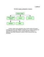 Prakses atskaite 'Prakse Valsts ieņēmumu dienesta Rīgas reģionālās iestādes Latgales priekšpilsēta', 22.