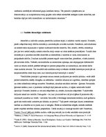 Referāts 'Varas attiecības un sociālā hierarhija mūsdienu kino vēstījumos', 7.