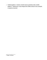 Referāts 'Varas attiecības un sociālā hierarhija mūsdienu kino vēstījumos', 14.