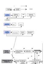 Referāts 'Viesnīcas dienesti', 22.