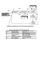 Referāts 'Viesnīcas dienesti', 25.
