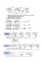 Referāts 'Viesnīcas dienesti', 26.