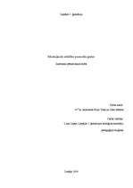 Referāts 'Muskuļaudu attīstība pusaudžu gados', 1.