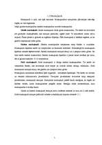 Referāts 'Muskuļaudu attīstība pusaudžu gados', 5.