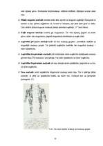 Referāts 'Muskuļaudu attīstība pusaudžu gados', 10.