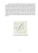 Referāts 'Muskuļaudu attīstība pusaudžu gados', 12.