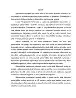 Diplomdarbs 'Grāmatvedības organizācija "X" budžeta iestādē', 5.