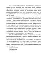 Diplomdarbs 'Grāmatvedības organizācija "X" budžeta iestādē', 16.