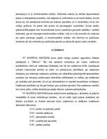 Diplomdarbs 'Grāmatvedības organizācija "X" budžeta iestādē', 47.