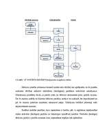 Diplomdarbs 'Grāmatvedības organizācija "X" budžeta iestādē', 49.