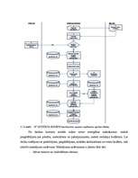 Diplomdarbs 'Grāmatvedības organizācija "X" budžeta iestādē', 58.