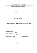 Biznesa plāns 'Ārējās vides analīze', 1.